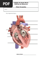 ficha coração