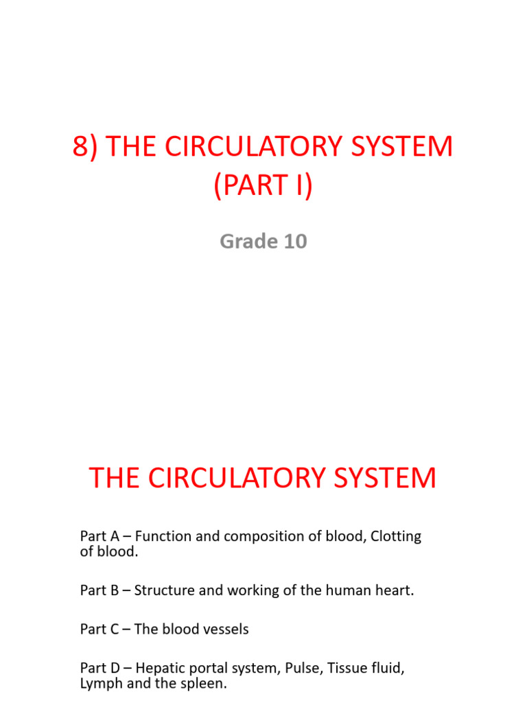 Circulatory System Overview for Grade 10 | PDF | Heart Valve | Heart