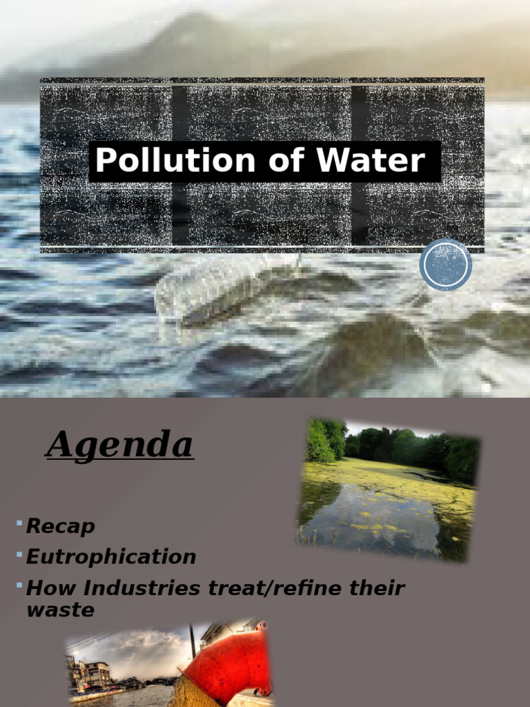 Pollution of Water and Air | PDF