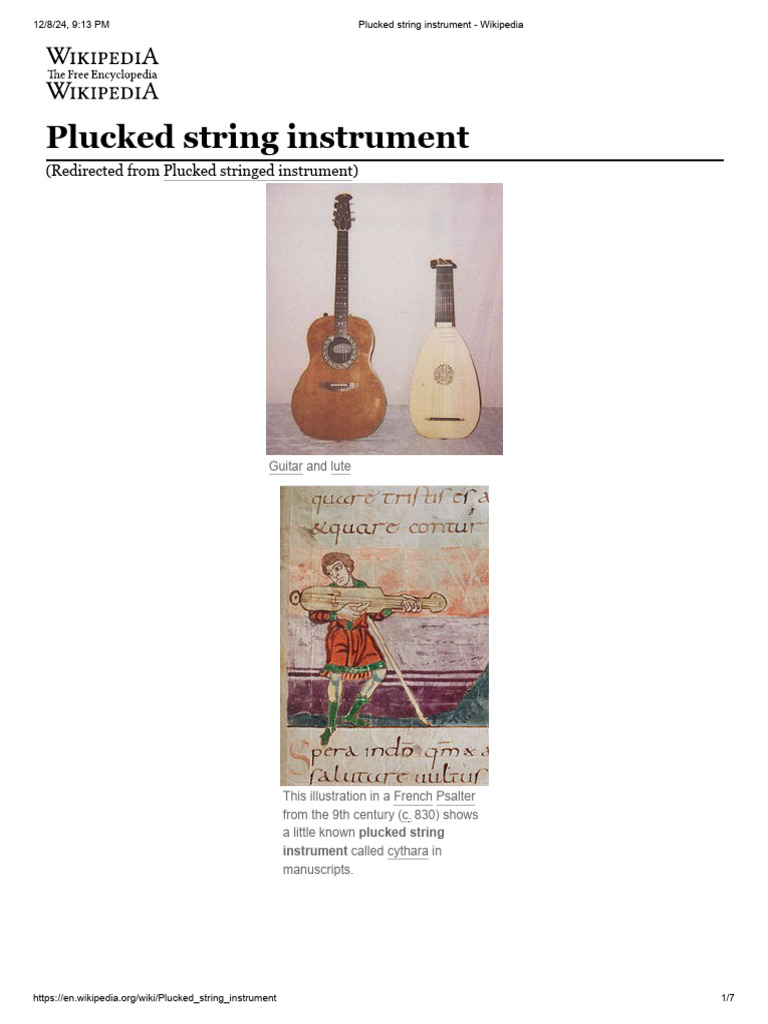 Sitar and Lute: A Comparative Overview | PDF | String Instruments ...