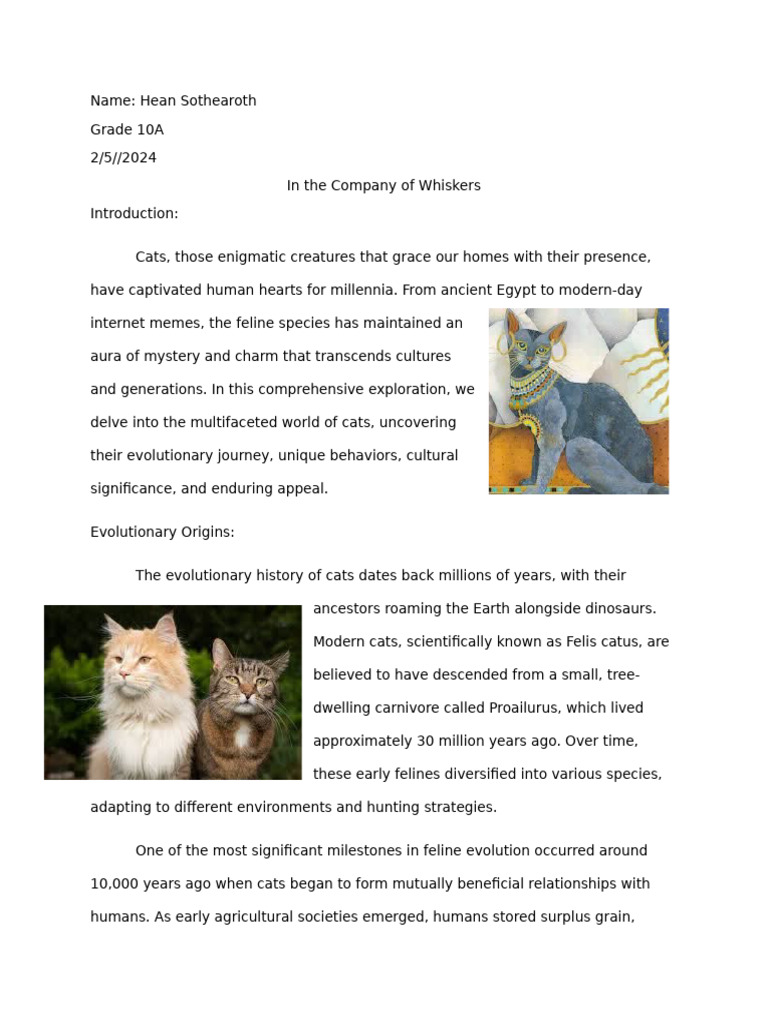 CAT OLD PAPERS PDF visual data 7