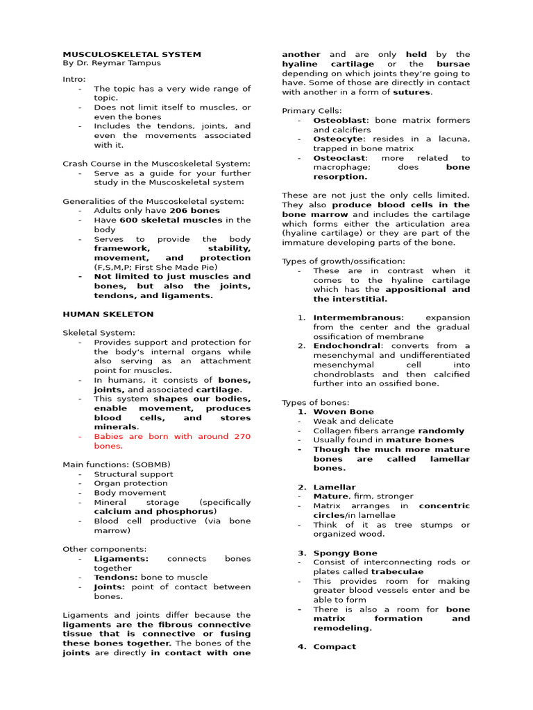 Musculoskeletal System | PDF | Human Leg | Bone