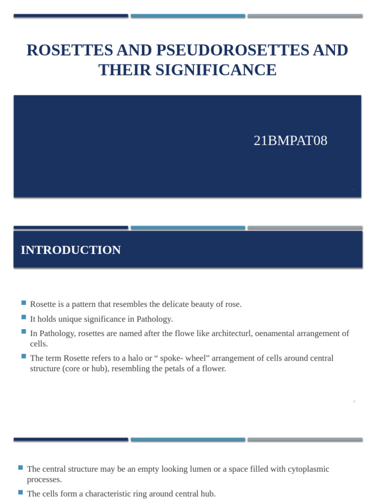 True vs Pseudo Rosettes in Pathology | PDF | Biological Processes ...