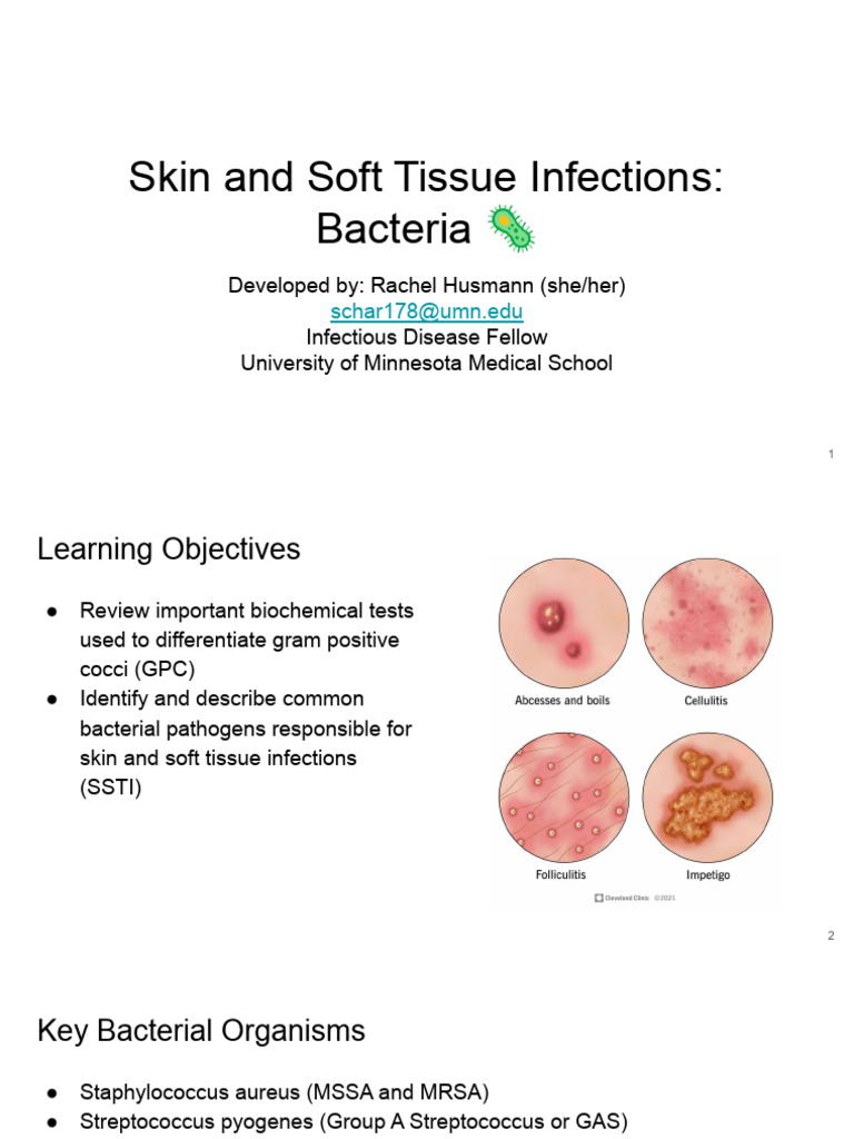 2023-09-21 SC Rachel Husmann SSTI Bacteria | PDF | Streptococcus ...