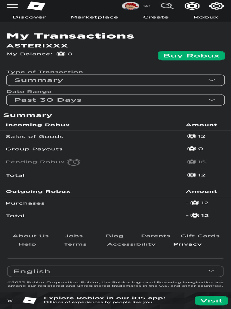 Roblox Transaction Summary Report | PDF