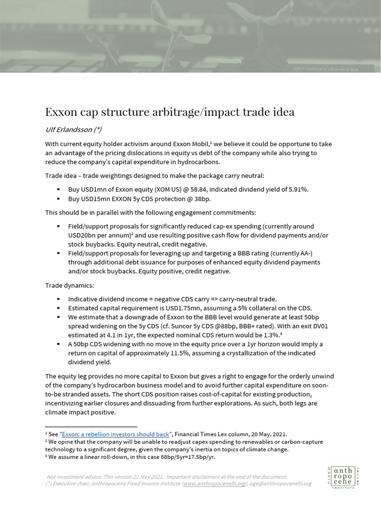 AFII Exxon Capstructure-0002 | PDF | Investing | Debt