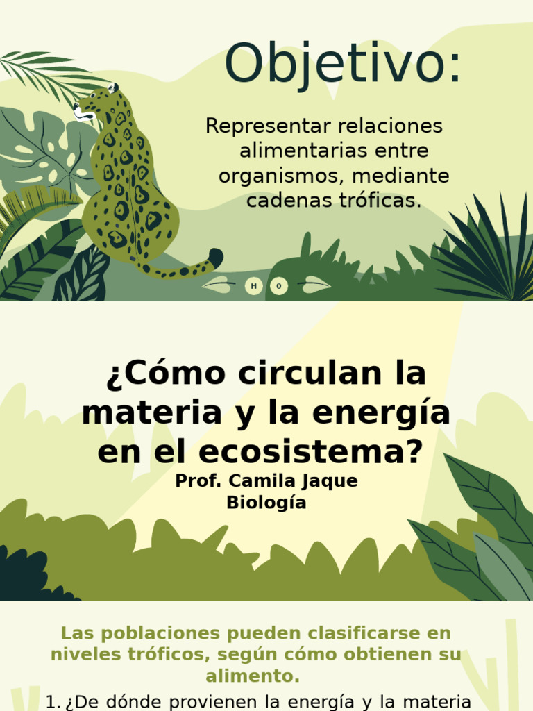 BIO Clase 1 - Niveles Tróficos | PDF | Naturaleza | Entorno natural