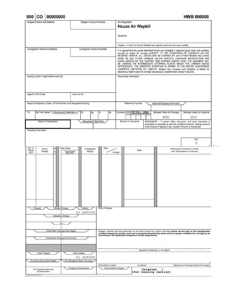 Dae - Guia Aerea y Packing List | PDF