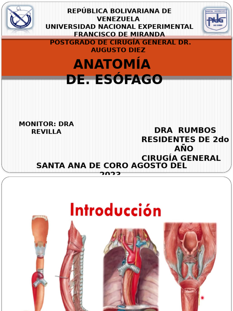 Esofago | PDF