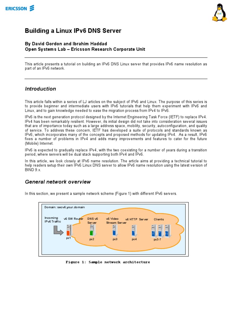 Build an IPv6 DNS Server on Linux | PDF