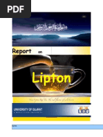 Download Report on Lipton Tea a mcom x by anon_684386534 SN80232978 doc pdf