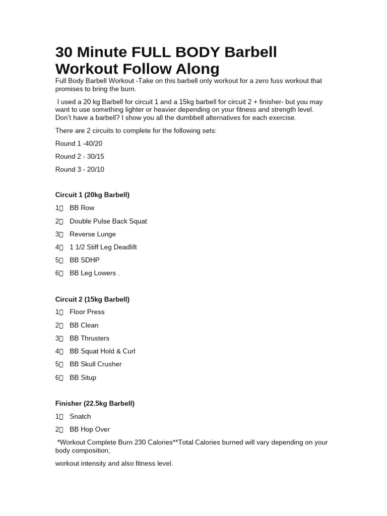 FULL BODY Workout Follow Along | PDF