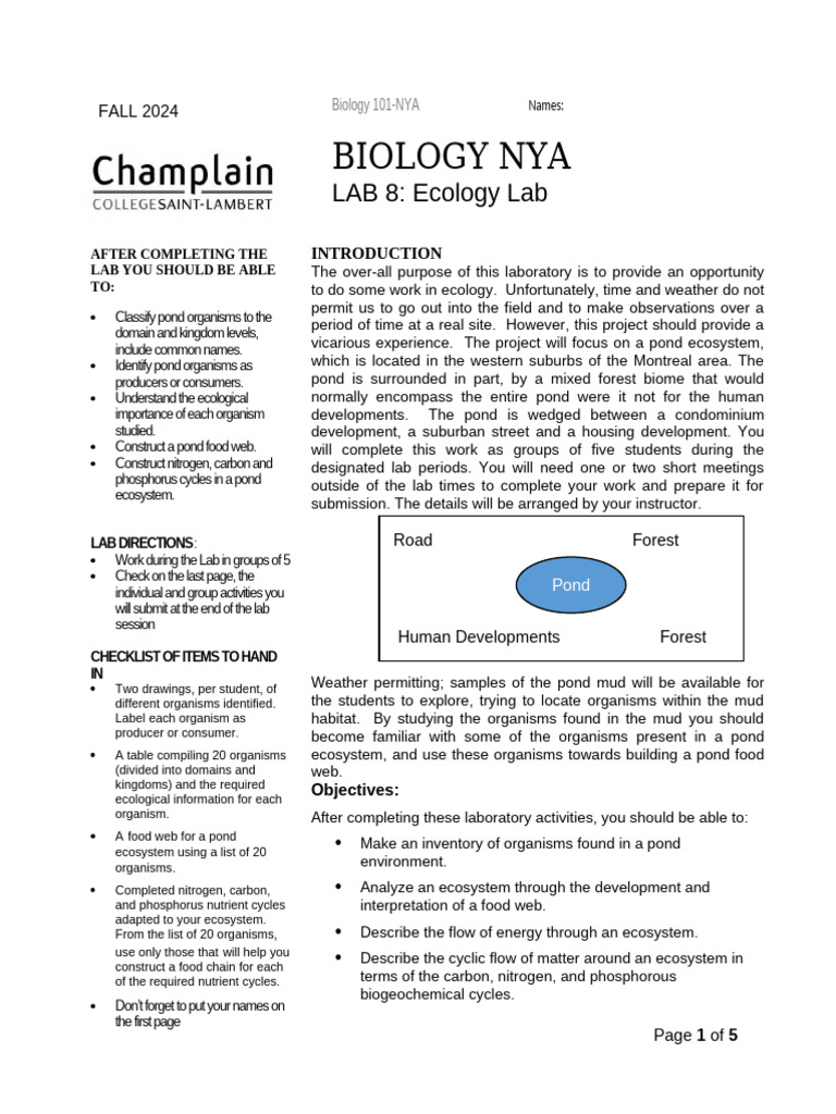 Pond Ecosystem Ecology Lab Guide | PDF | Food Web | Ecosystem