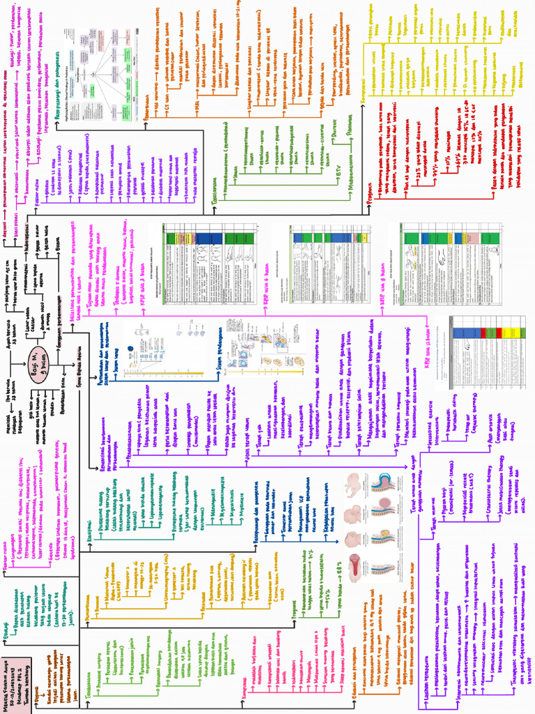 Mindmap PBL 2 - 240618 - 011042 | PDF
