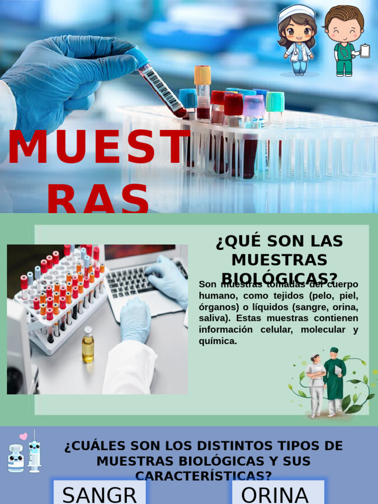 tipos-y-normas-de-muestras-biol-gicas-pdf