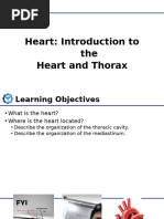 Anatomy Heart Cadaver | PDF | Heart Valve | Coronary Circulation