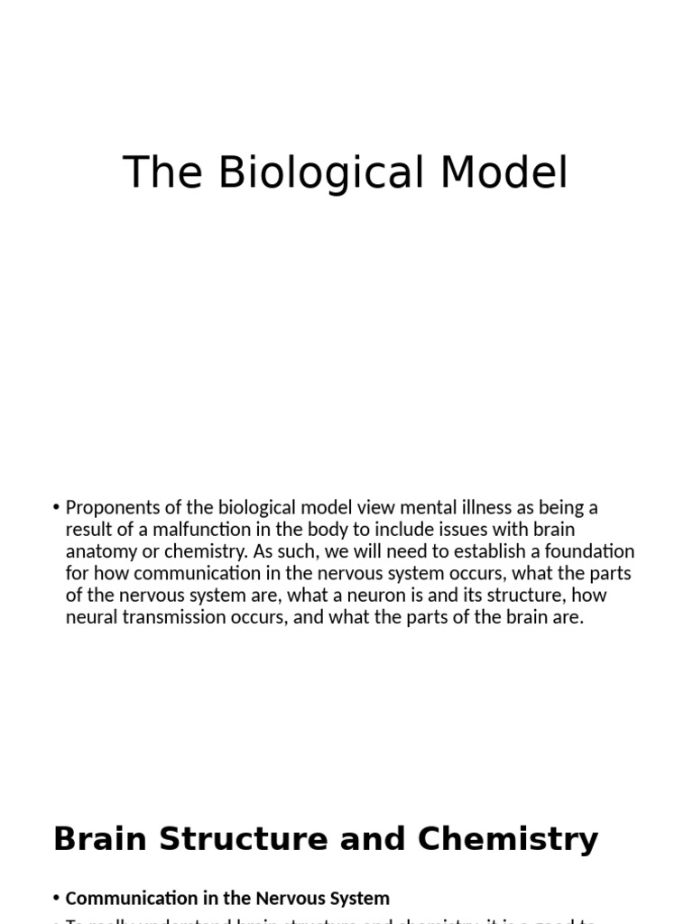 The Biological Model 3 Pdf Nervous System Action Potential