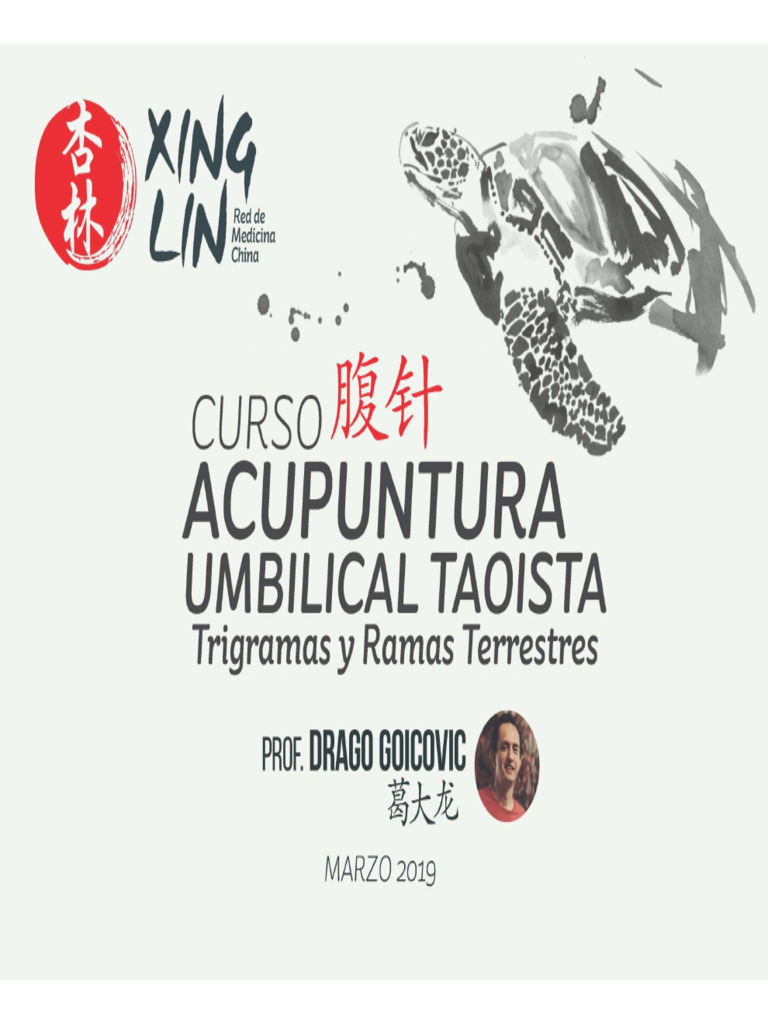 Àtlas fotográfico de acupuntura 鍼灸廃盤希少洋書