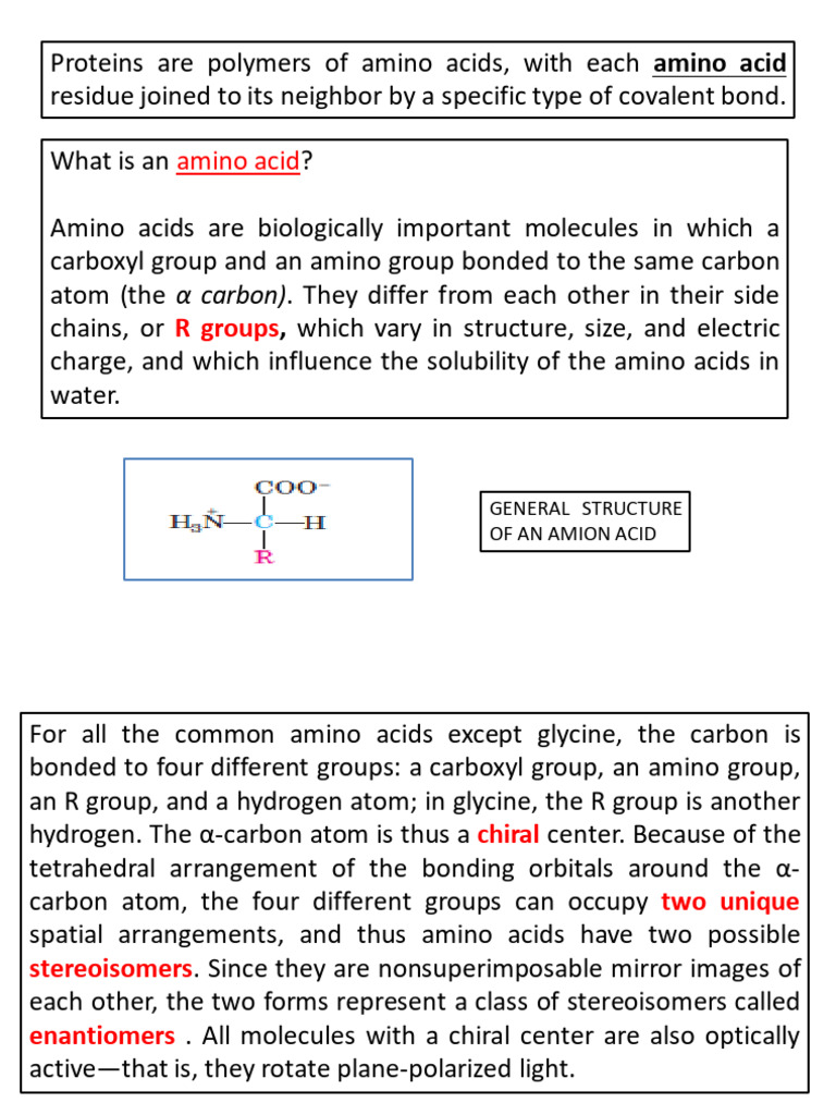 Understanding Amino Acid Residues | PDF | Beta Sheet | Alpha Helix