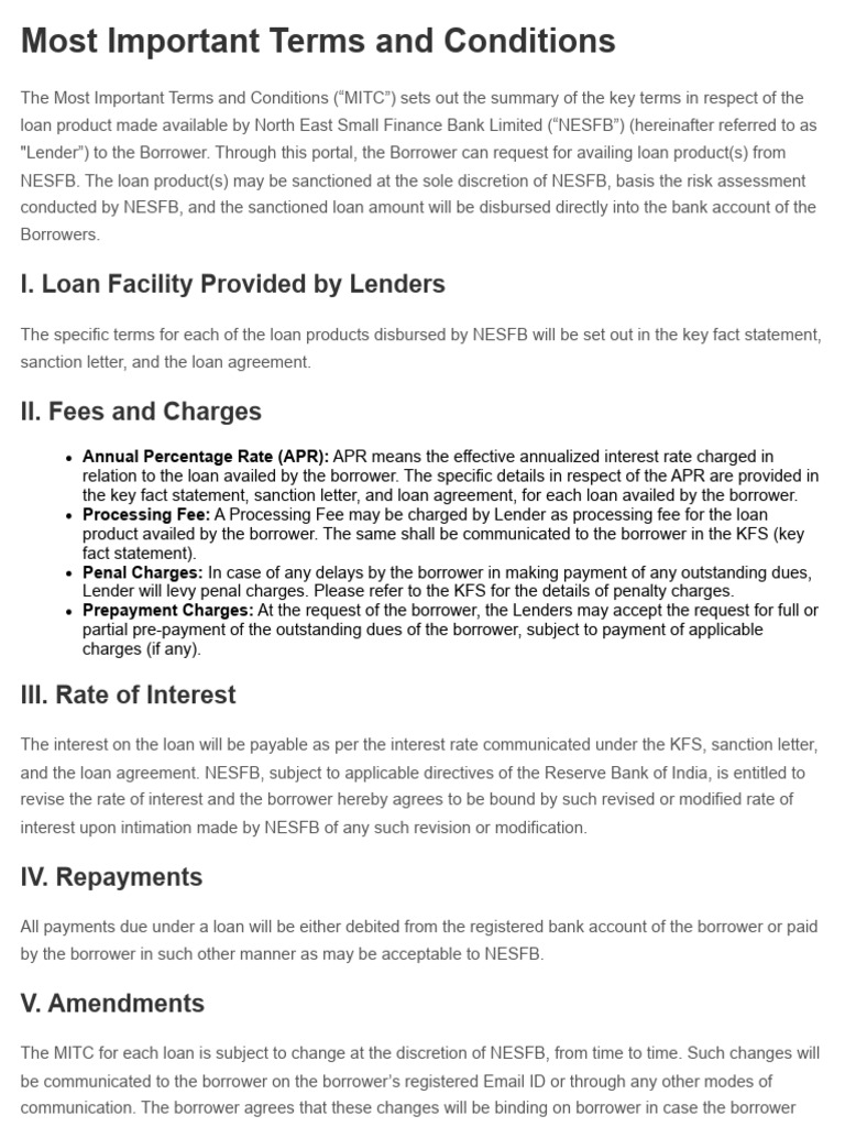 NESFB Loan Terms and Conditions Summary | PDF | Loans | Annual ...