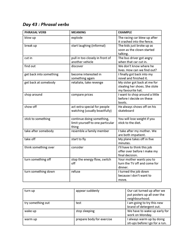 Essential Phrasal Verbs Explained | PDF