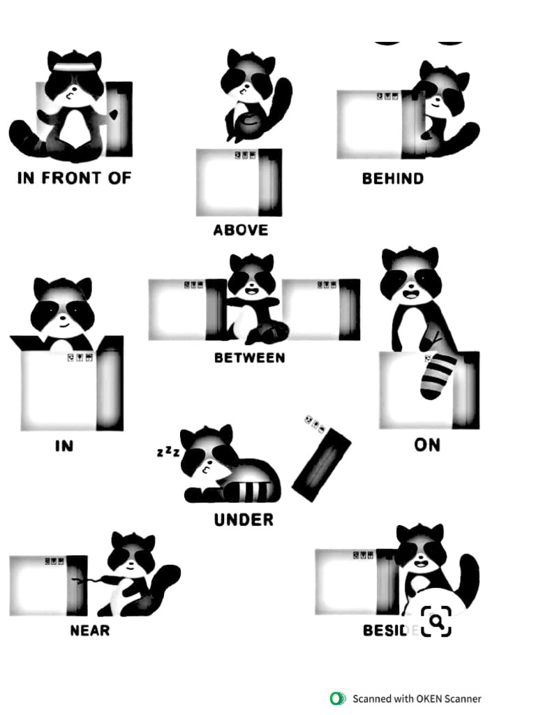 Racoon | PDF