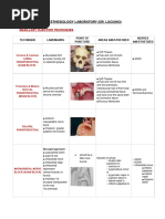 Field Block Anesthesia Techniques | PDF | Anesthesia | Injection (Medicine)