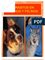 Parasito Caninos y Felinos