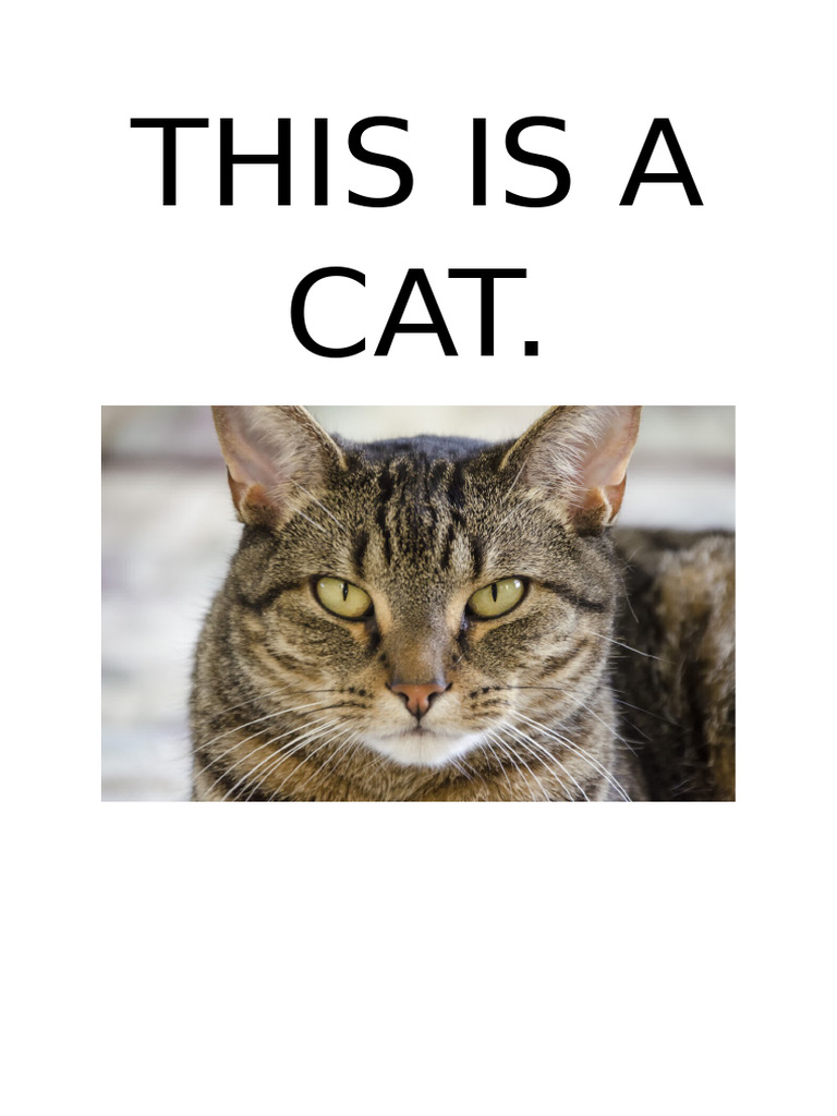 Understanding 