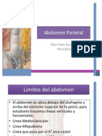 Anatomia de Abdomen: Abdomen Parietal