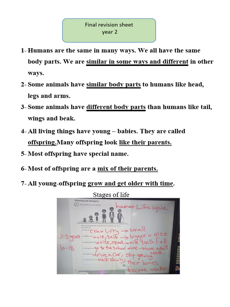 Living Things and Their Basic Needs | PDF | Tooth | Foods