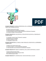 Enfermeria Com Unit Aria y La Salud Publica