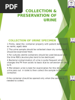 Midstream Urine Sample Collection Guide | PDF | Medical Specialties ...