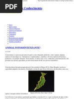 (Vaucheria litorea _(alga_) « Esquadrão do Conhecimento)
