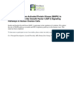 The Role of Mitogen-Activated Protein Kinase (MAPK) in Insulin and Insulin-Like Growth Factor I (IGF-I) Signaling Pathways in Human Ovarian Cells