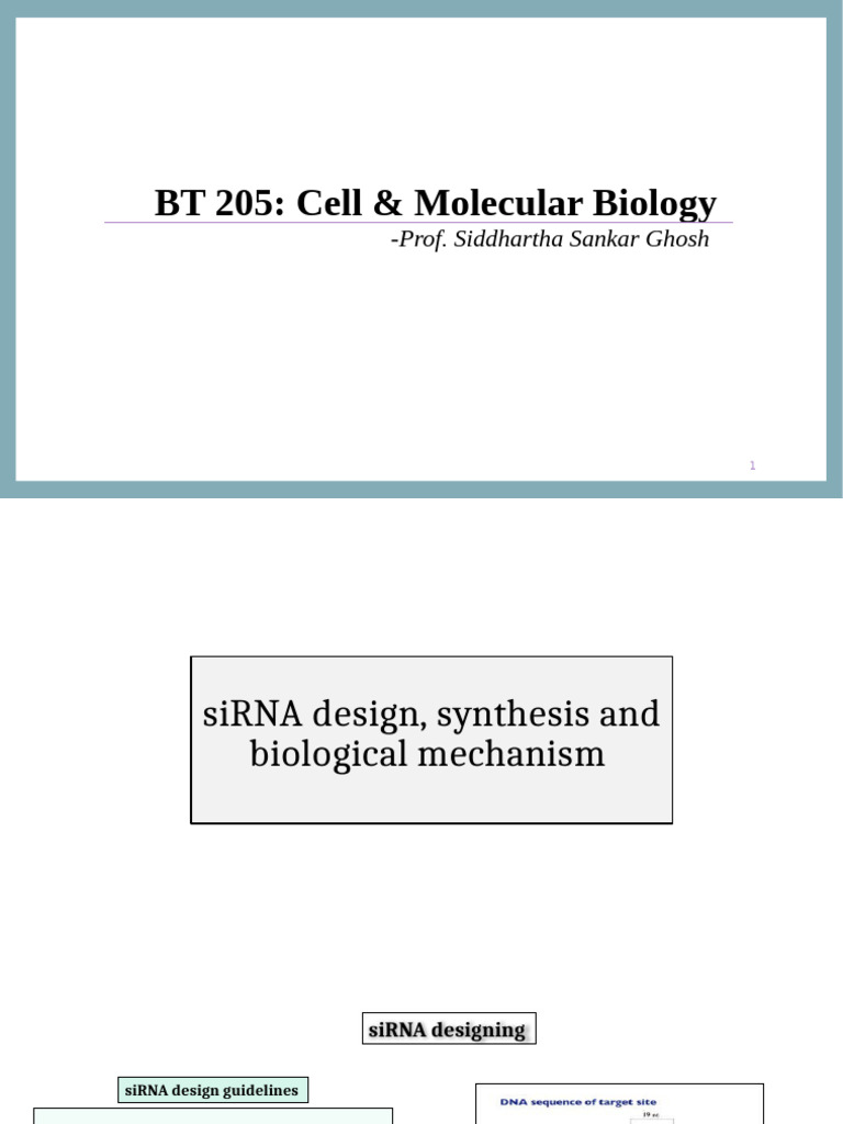 siRNA Design and Prokaryotic Translation | PDF | Small Interfering Rna ...