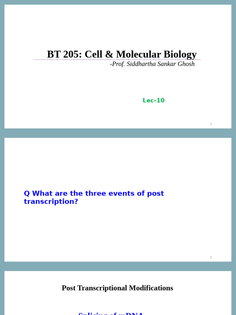 Lecture-10 (23-10-2024) | PDF | Rna Splicing | Messenger Rna
