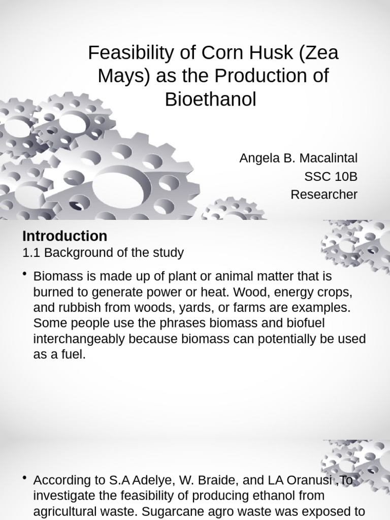 Corn Husk Bioethanol Production Feasibility | PDF | Biofuel | Ethanol