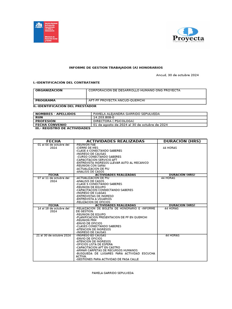 Informe de gestion a Honorarios Noviembre 2024 | PDF
