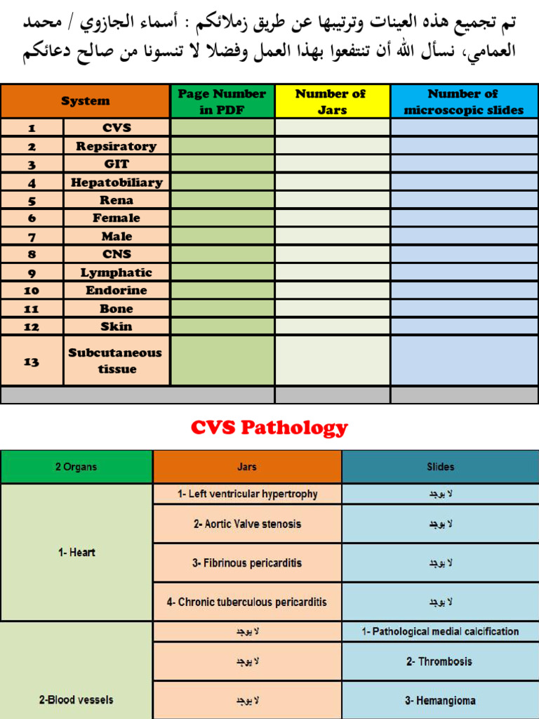 Pathology Sample Inventory Summary | PDF | Lymphatic System | Thyroid