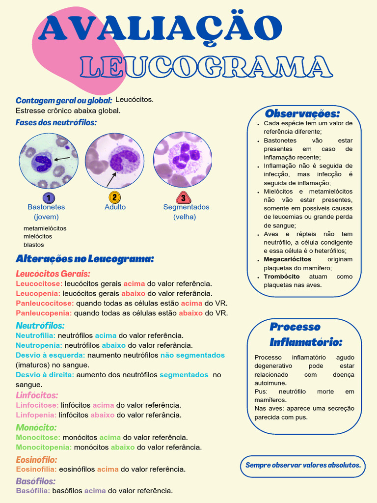 Análise de Leucograma e Inflamação | PDF | Glóbulo branco | Inflamação