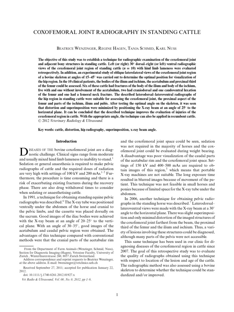 Standing Cattle Coxofemoral Radiography | PDF | Hip | Radiography