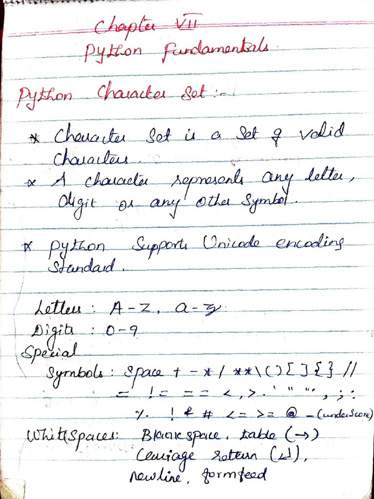 VII - PYTHON FUNDAMENTALS | PDF