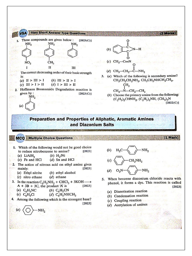 Worksheet Amines XII | PDF