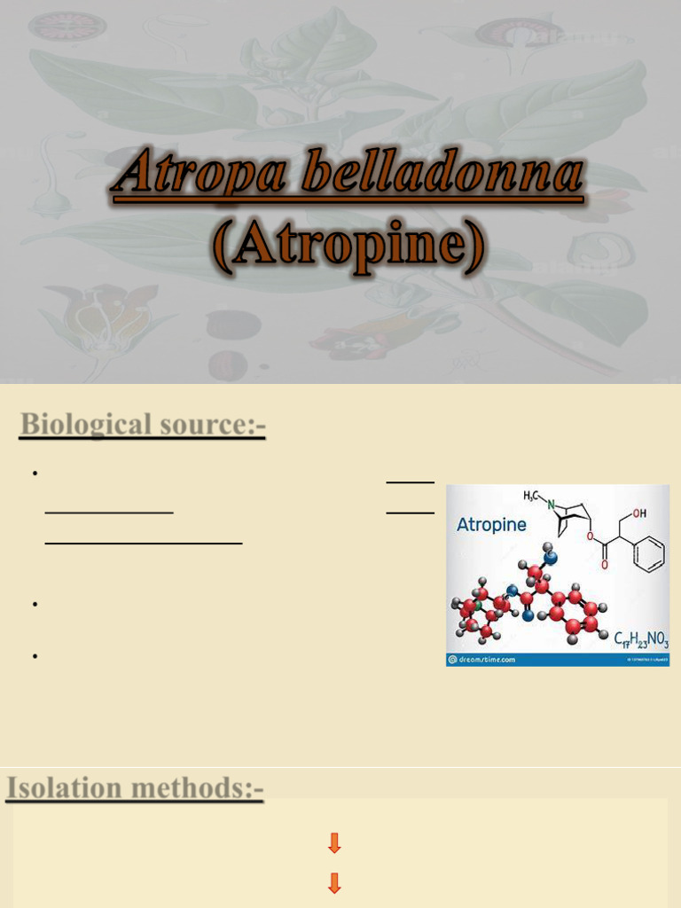 Atropine | PDF | Thin Layer Chromatography | Chemistry