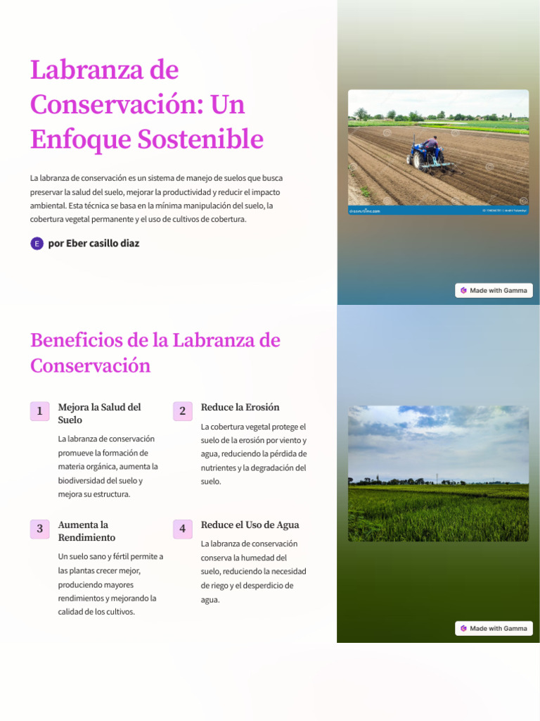 Labranza de Conservación: Beneficios y Técnicas | PDF | Suelo | Agricultura