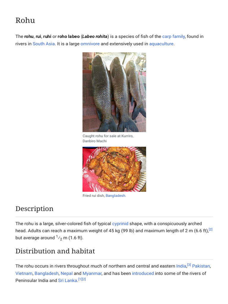 Rohu - Wikipedia | PDF | Fish