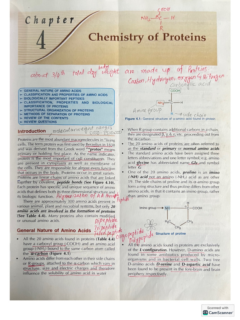 Proteins Full Chapter | PDF