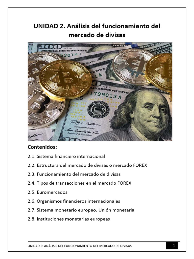Unidad 2. AnÃ¡lisis Del Funcionamiento Del Mercado de Divisas | PDF ...