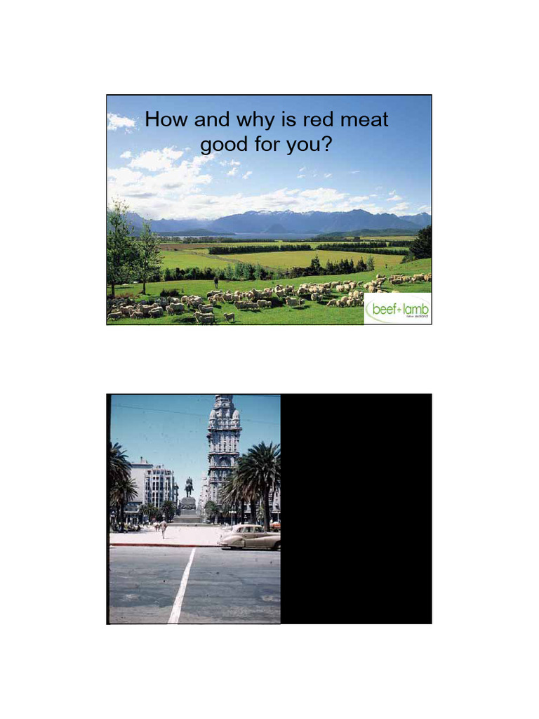 why-is-red-meat-good-for-you-fiona-carruthers-pdf-meat-beef